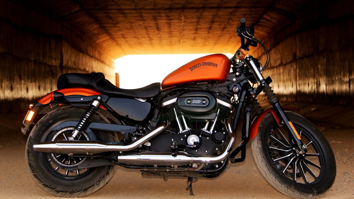 2024 Harley Davidson Motorcycle Lineup Review A Review Like No Other